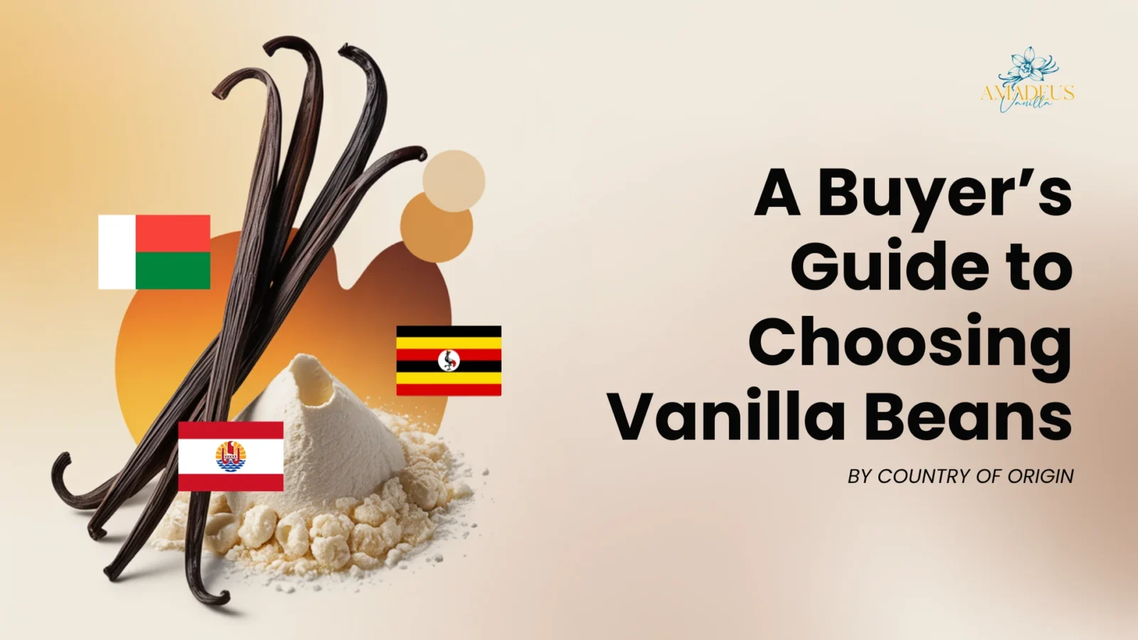 A Buyer’s Guide to Choosing Vanilla Beans by Country of Origin