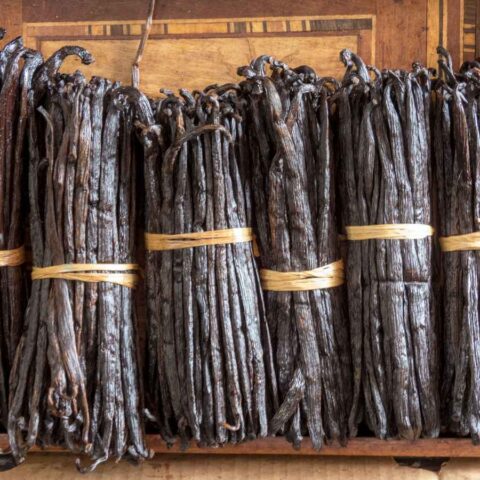 Comoros gourmet Bourbon vanilla beans