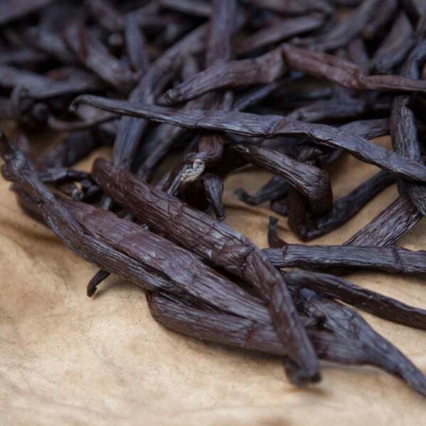 Premium Tahitian extract grade vanilla beans sourced from Papua, Indonesia for gourmet vanilla extract
