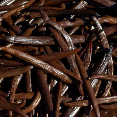 Gourmet Vanilla Beans