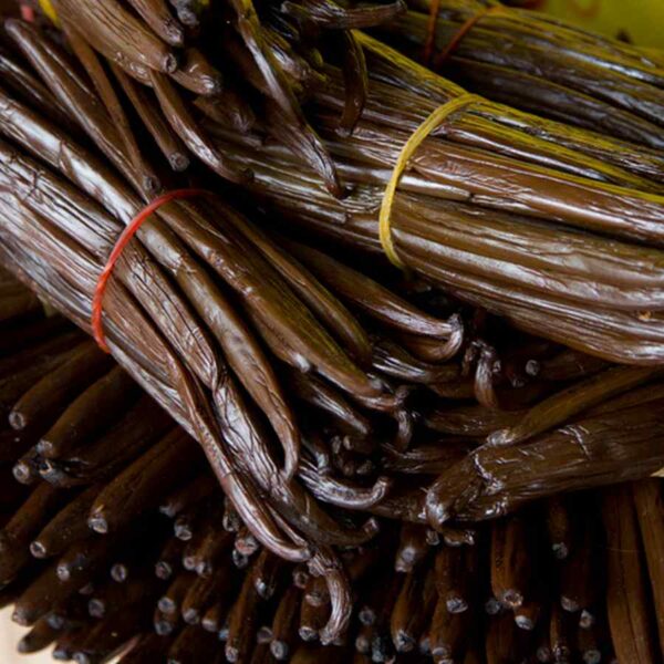 Premium gourmet vanilla beans from Madagascar for baking, cooking, and dessert making