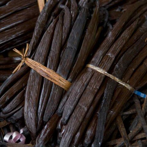Tahitian-variety gourmet vanilla beans from Indonesia's Papua region
