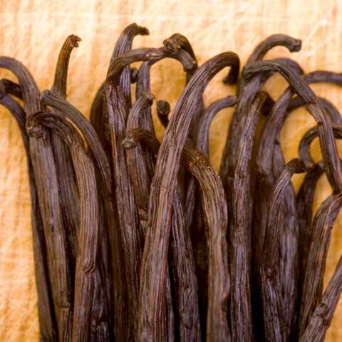 Tanzania gourmet vanilla beans
