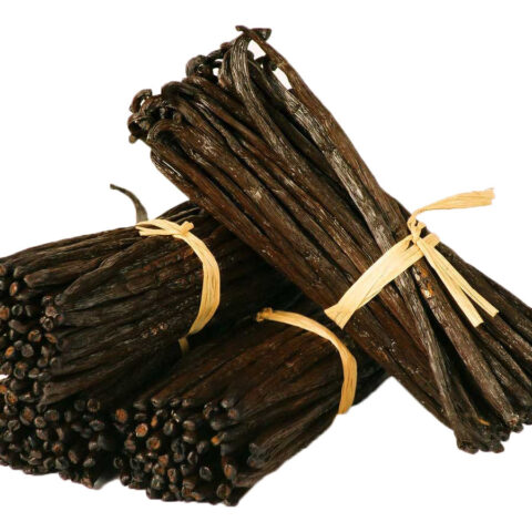 Bundles of cured vanilla beans