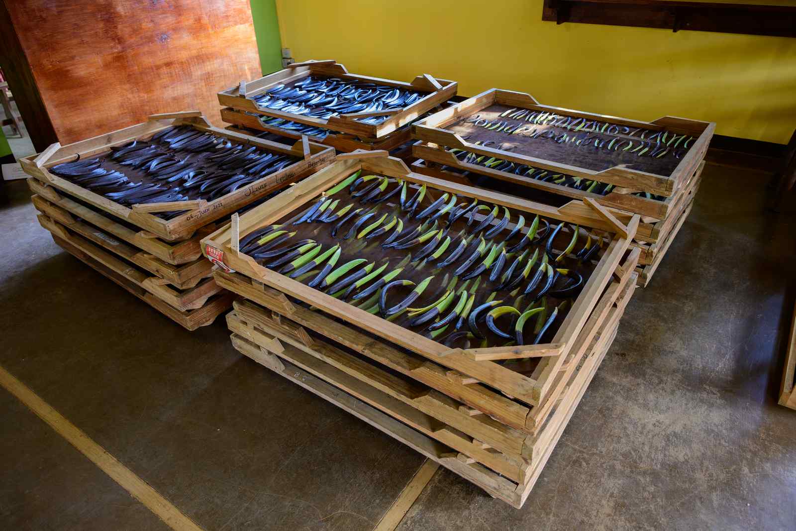 Bulk wholesale supply of premium vanilla beans for extract production, baking, and gourmet cooking