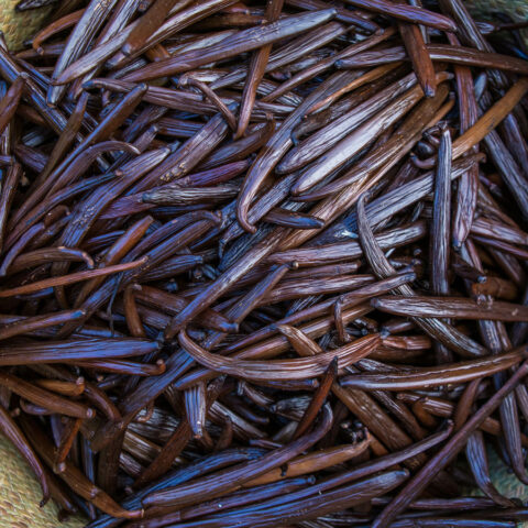 Madagascar Pompona gourmet vanilla beans