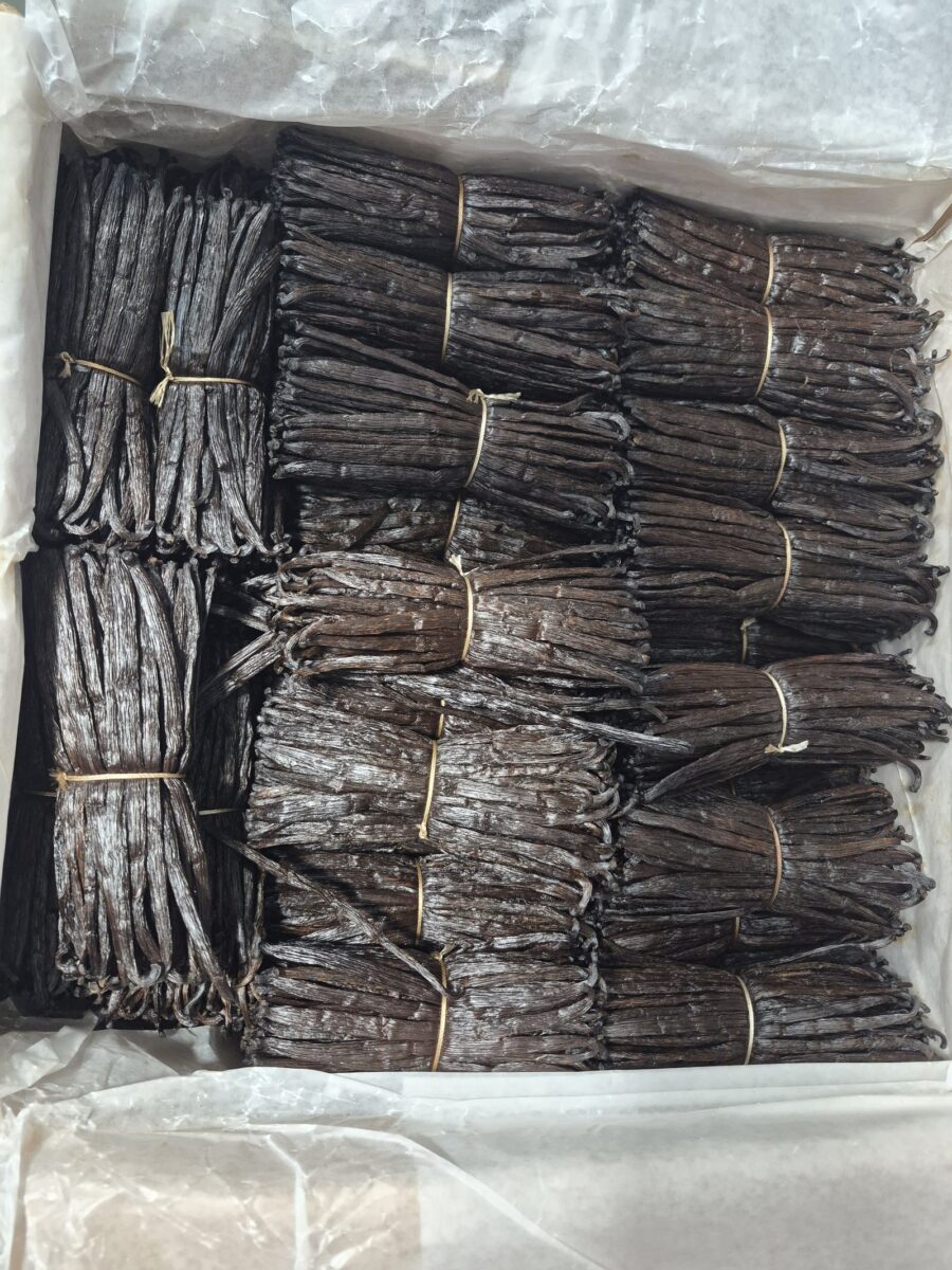 Bundles of cured vanilla beans packed in a farm-direct import box